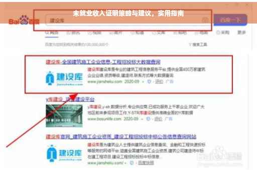 未就业收入证明策略与建议，实用指南