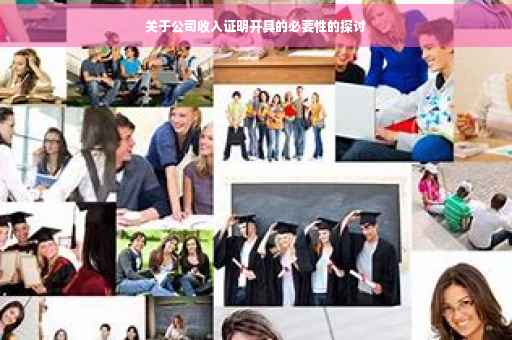 关于公司收入证明开具的必要性的探讨