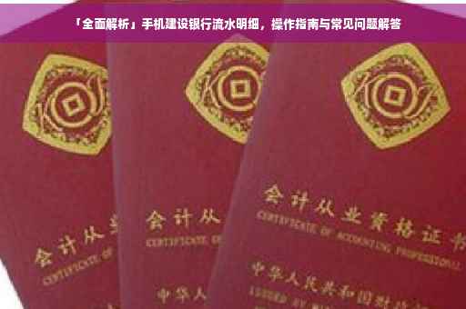「全面解析」手机建设银行流水明细,操作指南与常见问题解答 「全面解析」手机建设银行流水明细,操作指南与常见问题解答