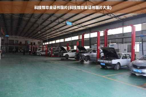 科技馆毕业证书图片(科技馆毕业证书图片大全)