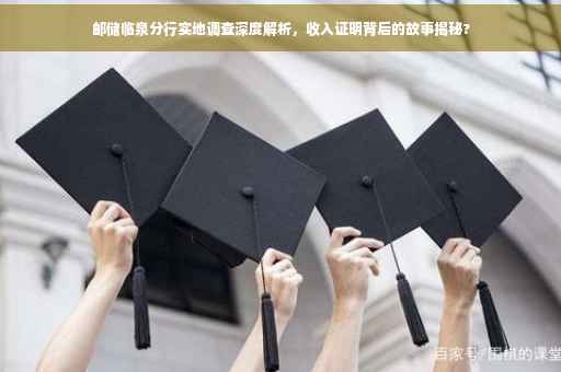 邮储临泉分行实地调查深度解析，收入证明背后的故事揭秘?