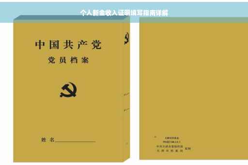个人新金收入证明填写指南详解