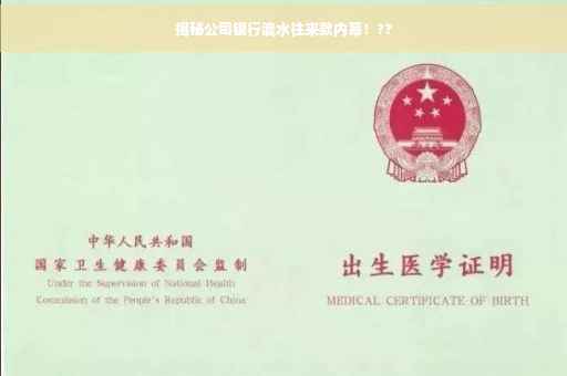 揭秘公司银行流水往来款内幕！??