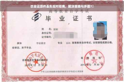 毕业证原件丢失应对指南，解决策略与步骤?✨