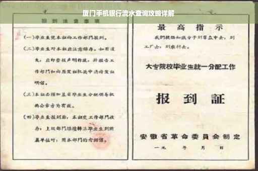 厦门手机银行流水查询攻略详解