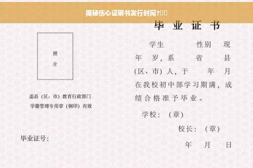 揭秘伤心证明书发行时间?⚡️