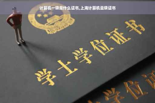 计算机一级是什么证书,上海计算机壹级证书