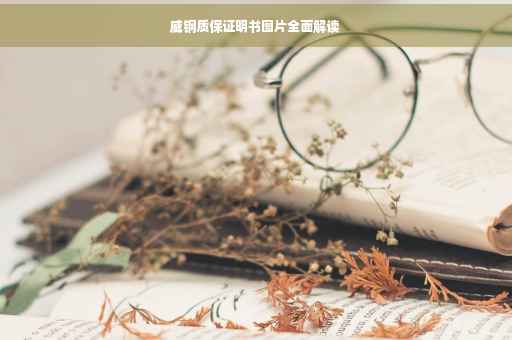 威钢质保证明书图片全面解读