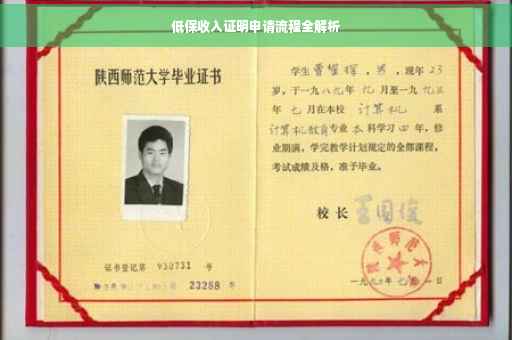 低保收入证明申请流程全解析