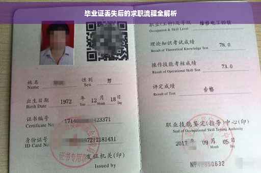 毕业证丢失后的求职流程全解析