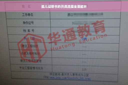 孤儿证明书的开具流程全面解析