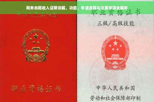 税务总局收入证明详解，功能、申请流程与注意事项全解析