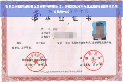 智利公司债务证明书深度解析与影响探讨，多维度视角审视企业债务问题影响及未来趋势分析