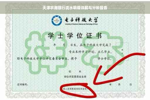 天津农商银行流水明细详解与分析报告