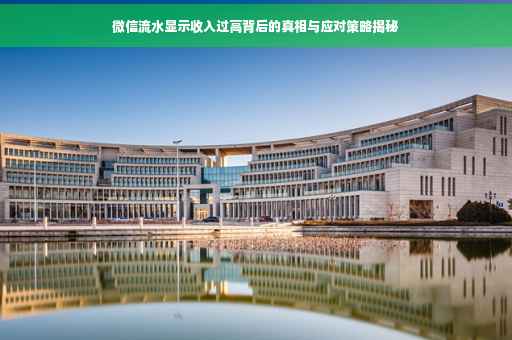 微信流水显示收入过高背后的真相与应对策略揭秘