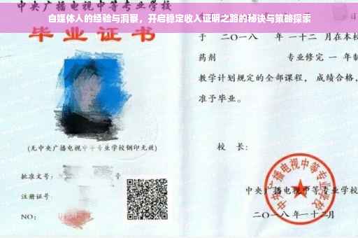 自媒体人的经验与洞察，开启稳定收入证明之路的秘诀与策略探索