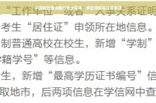 中国邮政查询银行流水指南，步骤详解与注意事项