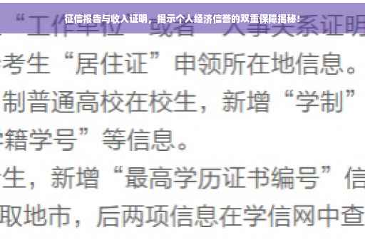 征信报告与收入证明，揭示个人经济信誉的双重保障揭秘！