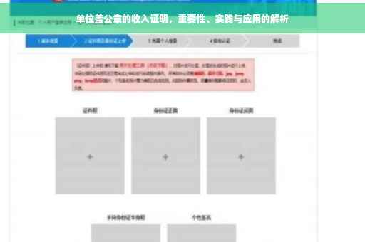 单位盖公章的收入证明，重要性、实践与应用的解析