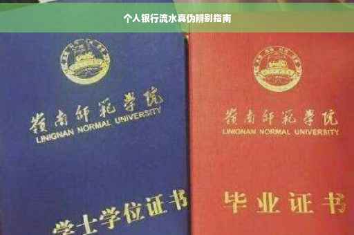 个人银行流水真伪辨别指南