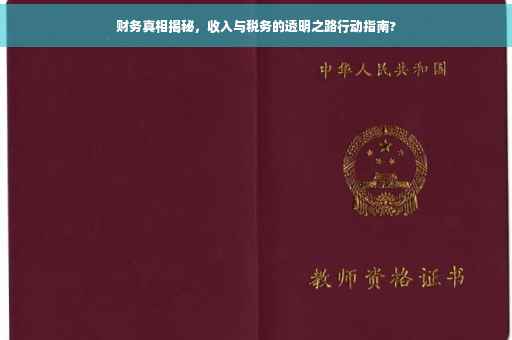 财务真相揭秘，收入与税务的透明之路行动指南?