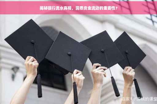 揭秘银行流水真相，洞悉资金流动的重要性?