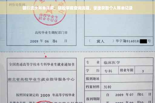 银行流水账单详解，轻松掌握查询流程，便捷获取个人账单记录