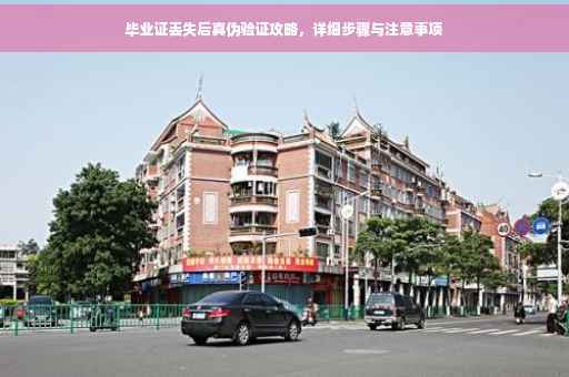 毕业证丢失后真伪验证攻略，详细步骤与注意事项