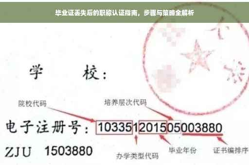 毕业证丢失后的职称认证指南，步骤与策略全解析