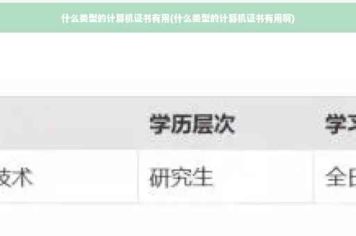 什么类型的计算机证书有用(什么类型的计算机证书有用啊)