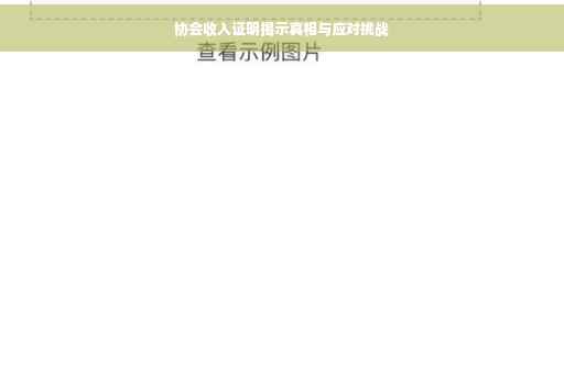 协会收入证明揭示真相与应对挑战