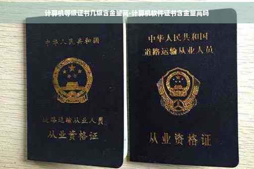 计算机等级证书几级含金量高-计算机软件证书含金量高吗