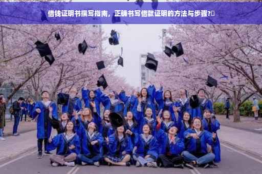 借钱证明书撰写指南，正确书写借款证明的方法与步骤?✨