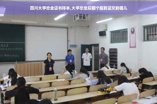 四川大学毕业证书样本,大学毕业后那个报到证交到哪儿