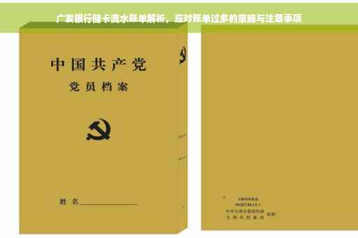 广发银行储卡流水账单解析，应对账单过多的策略与注意事项