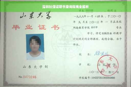 深圳社保证明书查询指南全解析