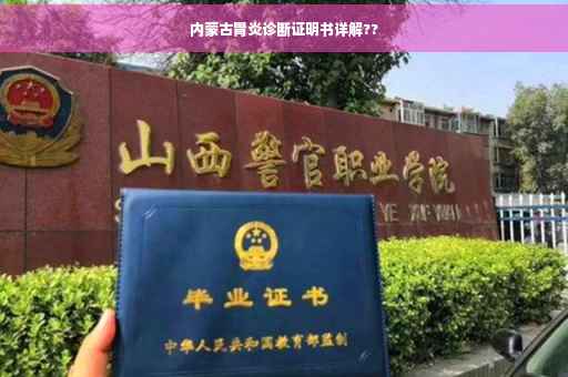 内蒙古胃炎诊断证明书详解??