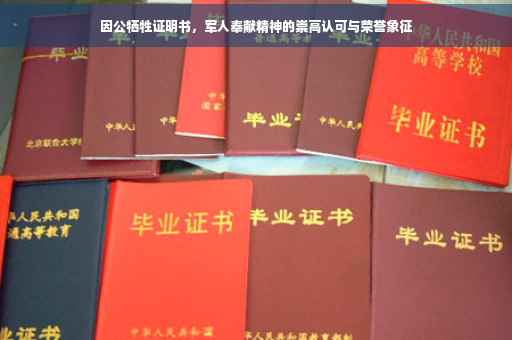 因公牺牲证明书，军人奉献精神的崇高认可与荣誉象征