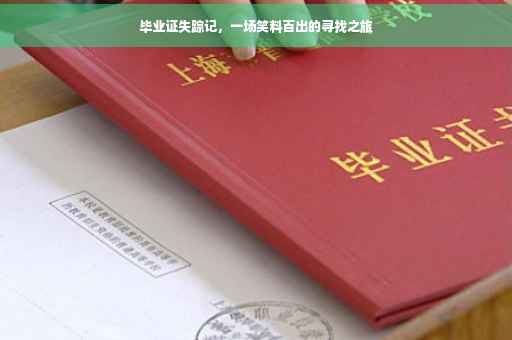 毕业证失踪记，一场笑料百出的寻找之旅