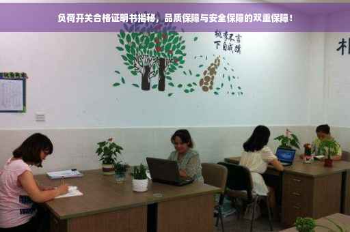 负荷开关合格证明书揭秘，品质保障与安全保障的双重保障！