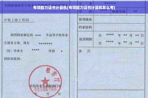 专项能力证书计算机(专项能力证书计算机怎么考)