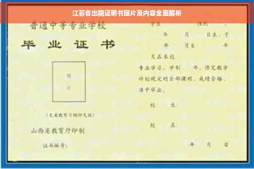 江苏省出院证明书图片及内容全面解析