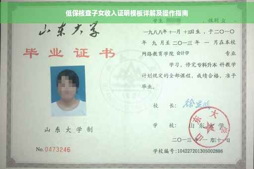 低保核查子女收入证明模板详解及操作指南