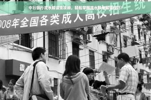 中行银行流水解读全攻略，轻松掌握流水账单解读技巧！