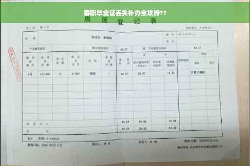 番职毕业证丢失补办全攻略??