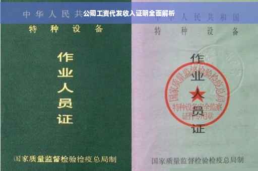 公司工资代发收入证明全面解析