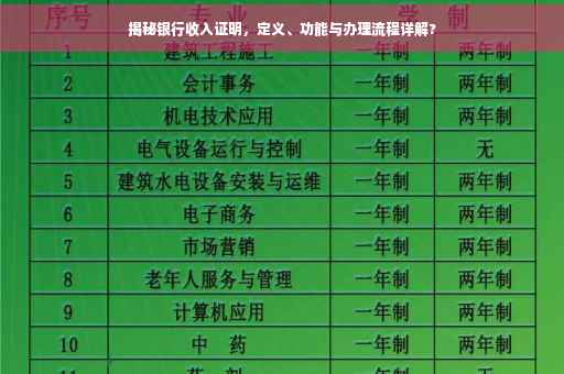 揭秘银行收入证明，定义、功能与办理流程详解?