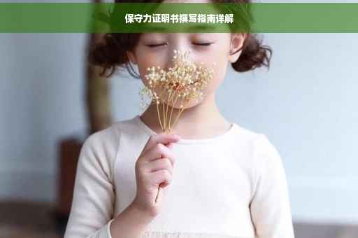 保守力证明书撰写指南详解