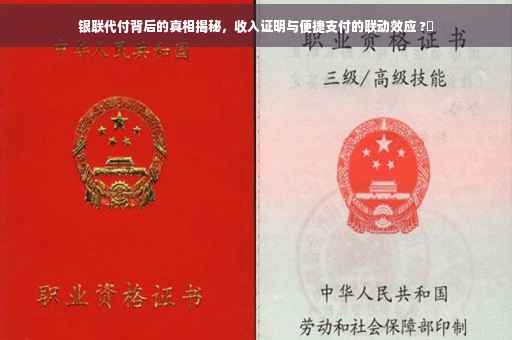 银联代付背后的真相揭秘，收入证明与便捷支付的联动效应 ?✨