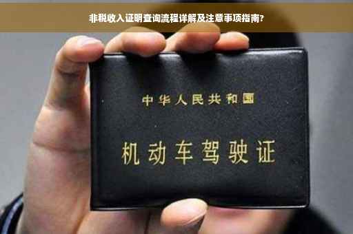 非税收入证明查询流程详解及注意事项指南?